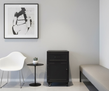 Cargar imagen en el visor de la galería, MINI DETROIT
